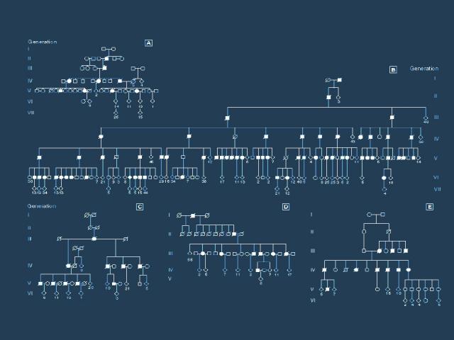 Bioinformatics / Genomics